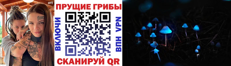 Купить закладки  Зуевка  Галлюциногенные грибы Magic Shrooms 